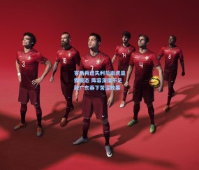 mk体育_客场再遭失利华南虎显露疲态 阵容深度不足致广东吞下苦涩败果