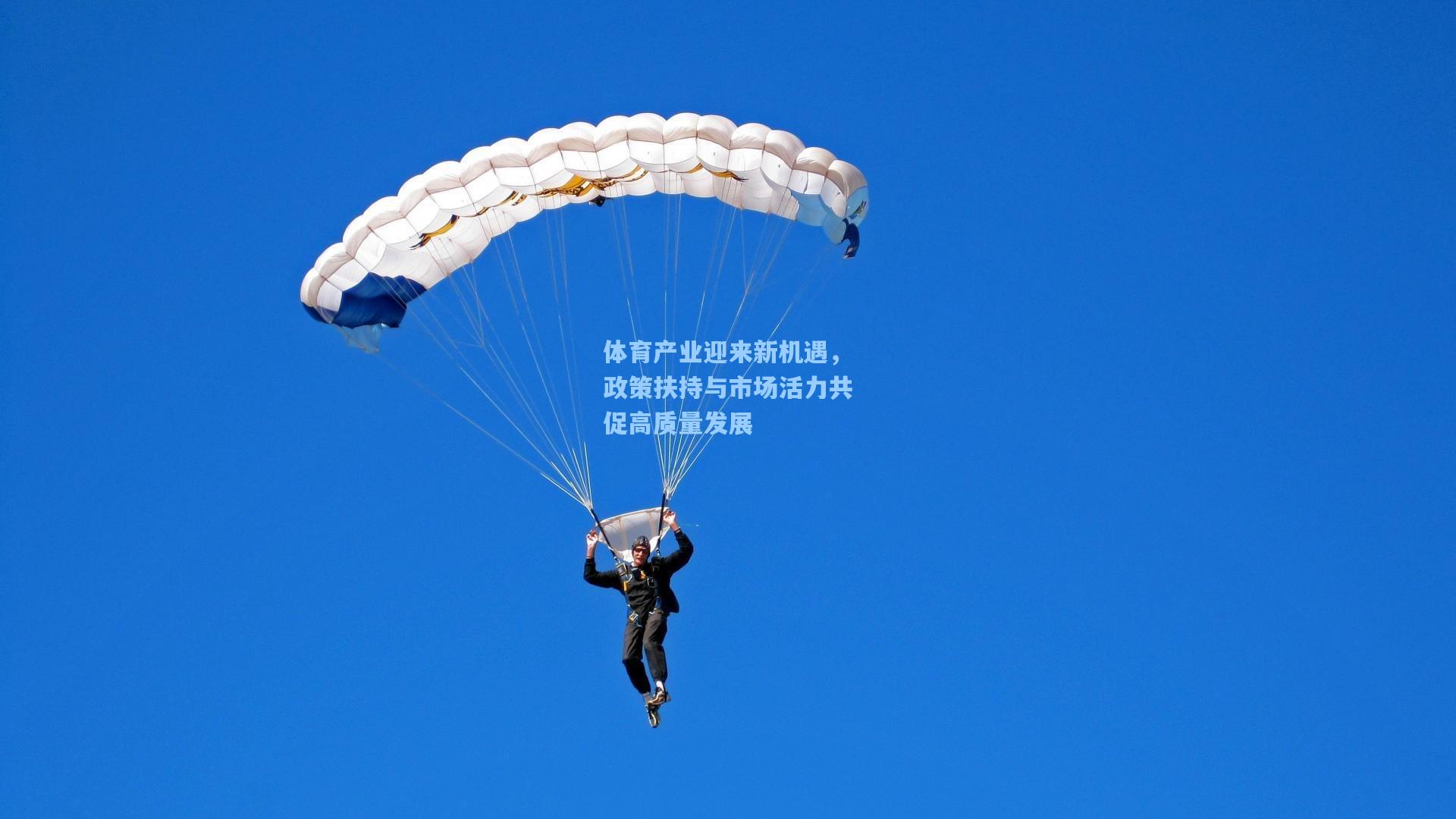 体育产业迎来新机遇，政策扶持与市场活力共促高质量发展