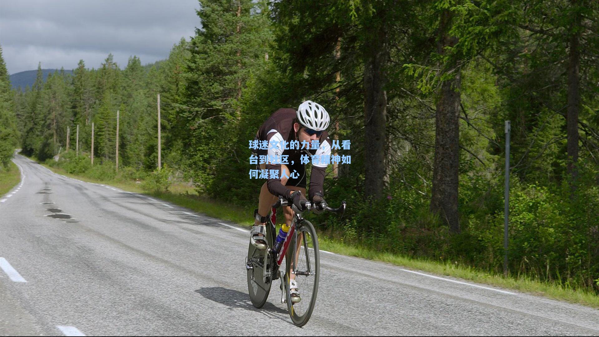 球迷文化的力量，从看台到社区，体育精神如何凝聚人心