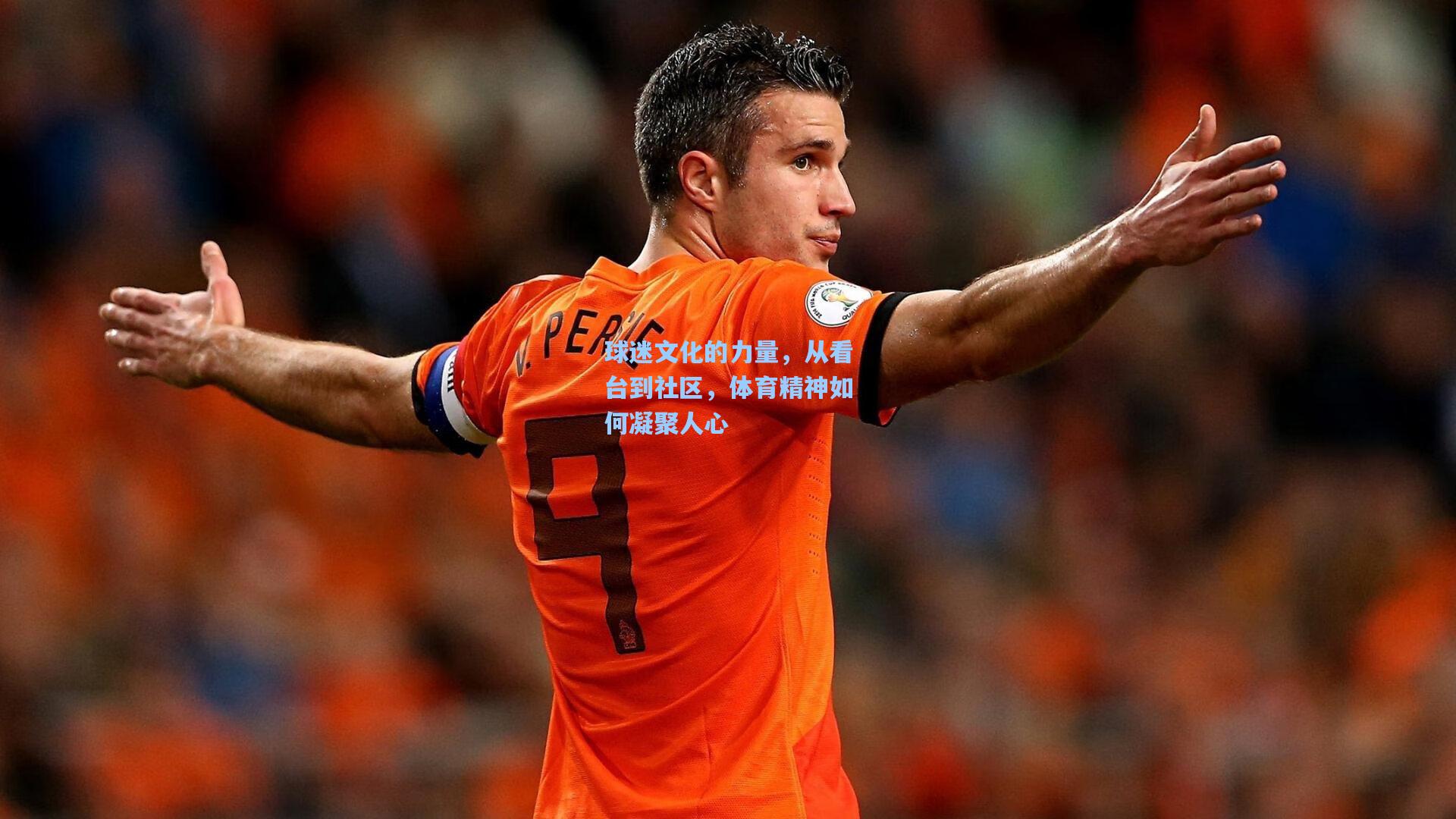 球迷文化的力量，从看台到社区，体育精神如何凝聚人心