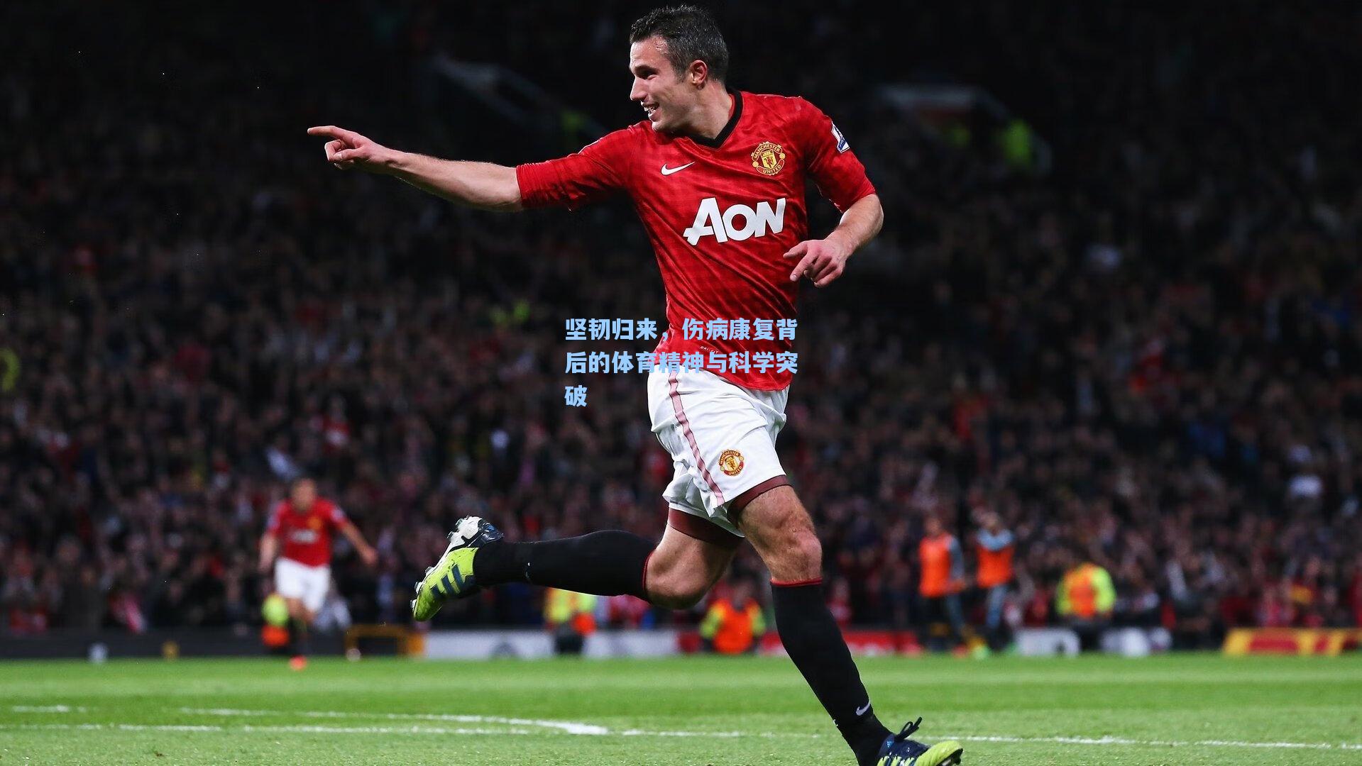 坚韧归来，伤病康复背后的体育精神与科学突破