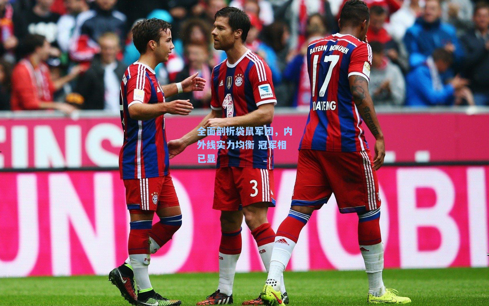 全面剖析袋鼠军团,内外线实力均衡 冠军相已显